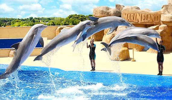 Quelles activités à faire dans le Var ?